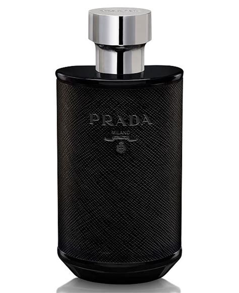 l homme prada macy's|Prada l'homme reviews.